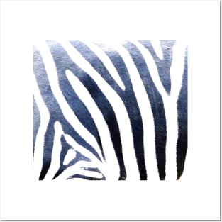 zebra print 2 Posters and Art
